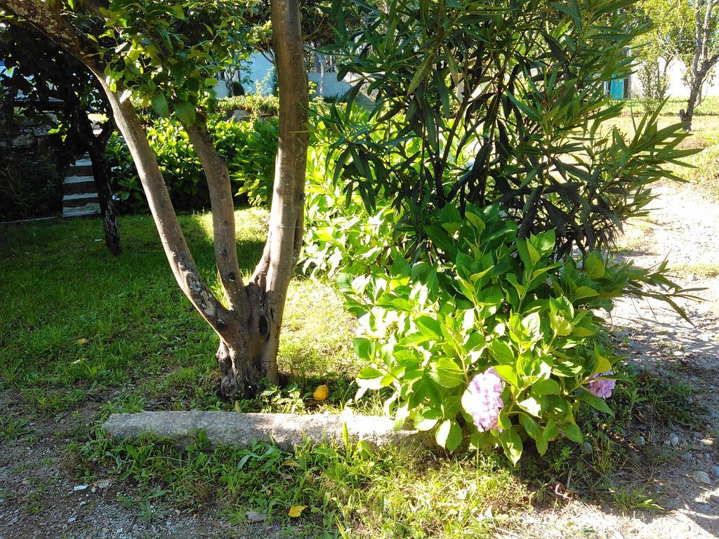 Casa Do Fiscal Villa Barroselas Bilik gambar